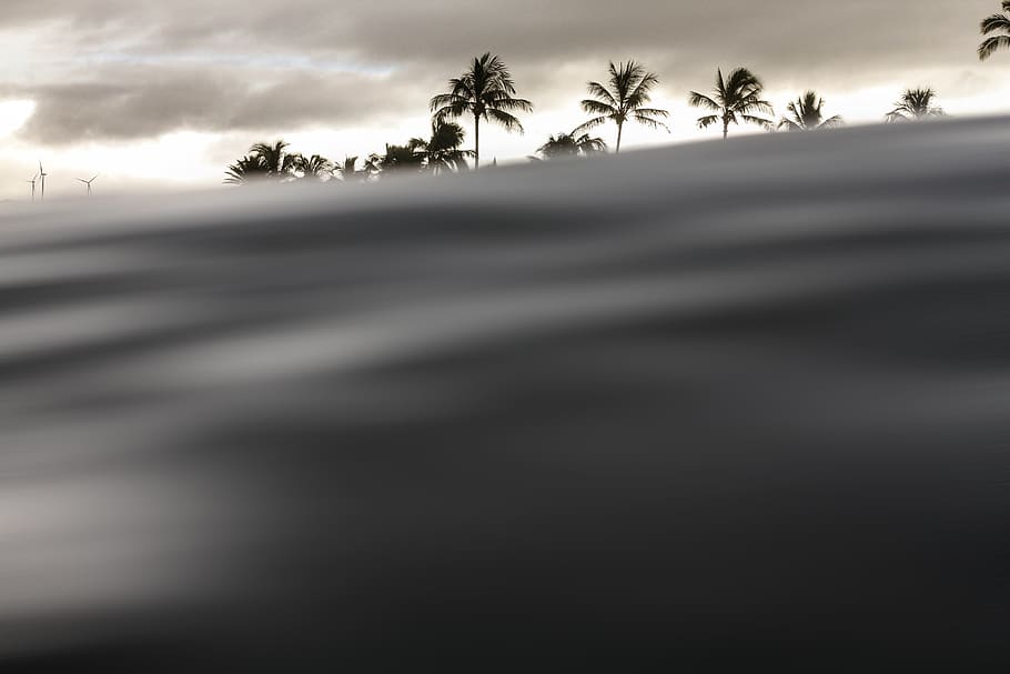 silhoutte of palm tree under cloudy sky, coconut trees under cloudy sky HD wallpaper