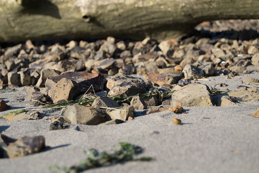 rocks, sand, beach, landscape, driftwood, america, nature, river rock HD wallpaper