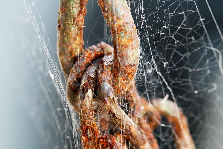 chain, cobweb, rust, aged, weathered, deteriorate, links, rusted chain HD wallpaper
