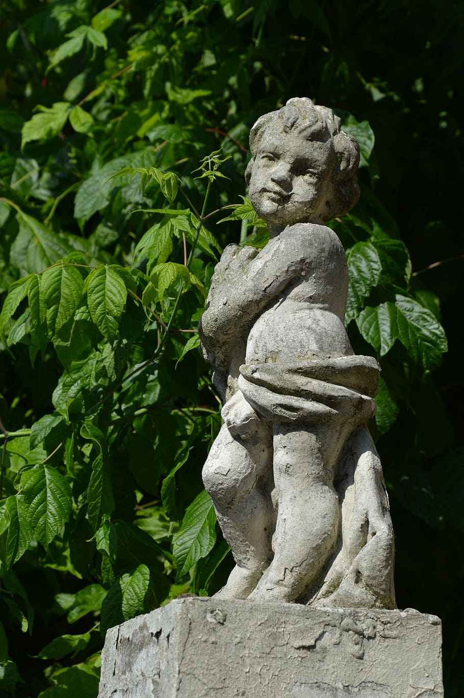 Cherub, Statue, Greenery, Italy, summer, sculpture, no people