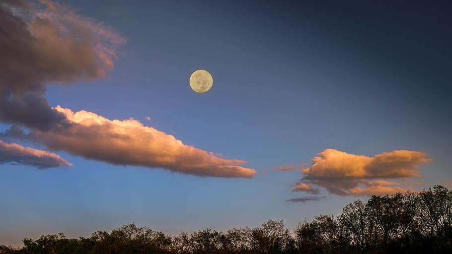 dusk, moon, clouds, sky, cloud - sky, tree, nature, plant, no people HD wallpaper