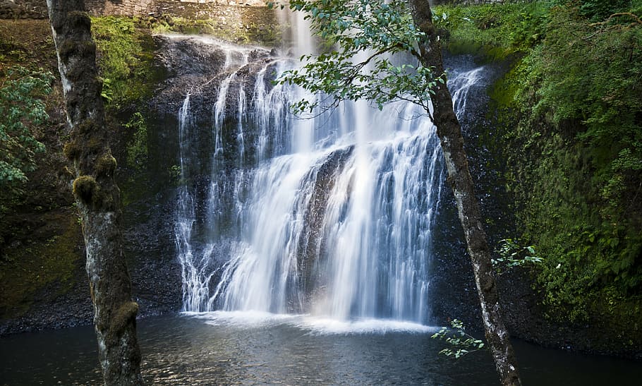 waterfalls at daytime, landscape, forest, cascade, nature, outdoor HD wallpaper