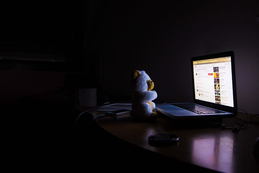 white animal plush in front of laptop computer, Bear, Night HD wallpaper