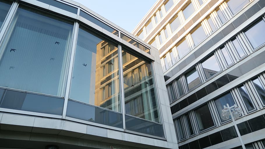 architecture, glass, facade, building, bonn, tulip field, window HD wallpaper