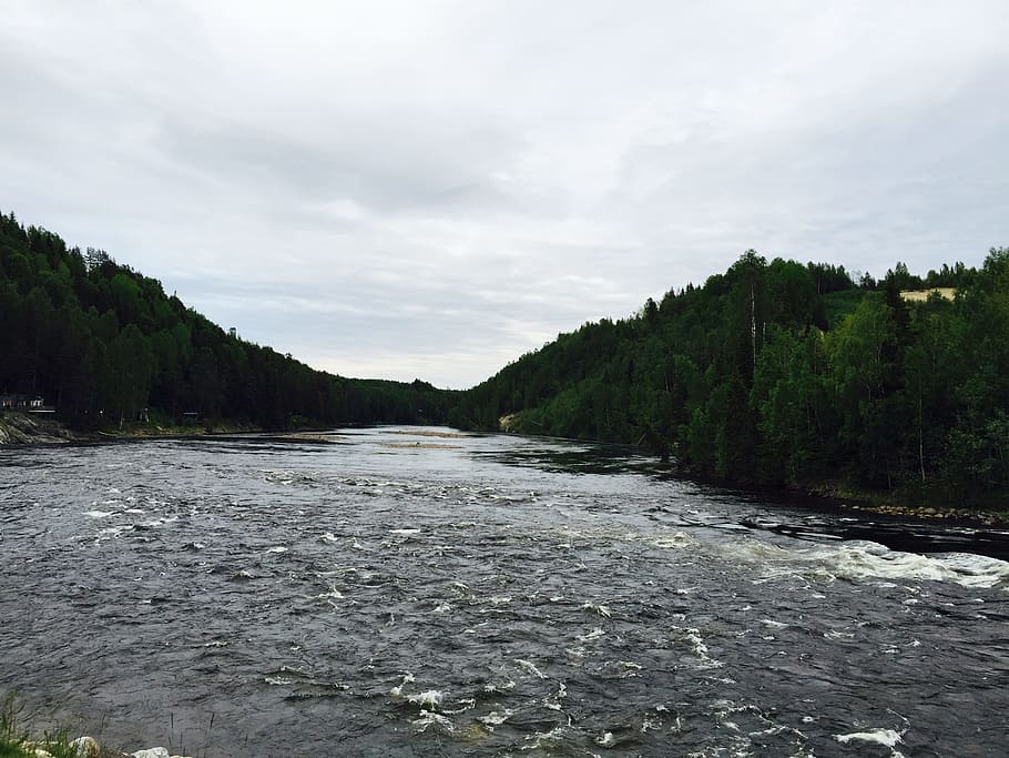 Fors, Water, Stream, Fishing, summer, river, forest, the water stream HD wallpaper
