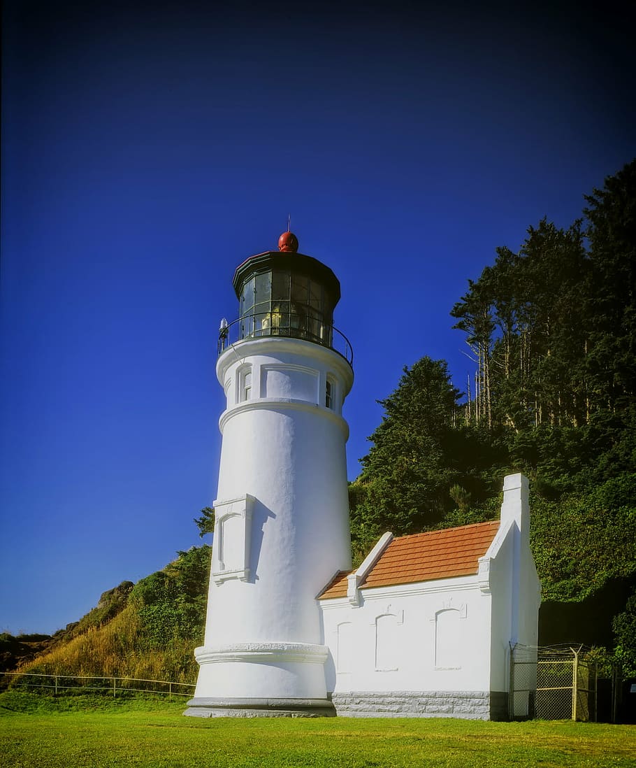hadeda head, lighthouse, architecture, trees, landscape, scenic HD wallpaper