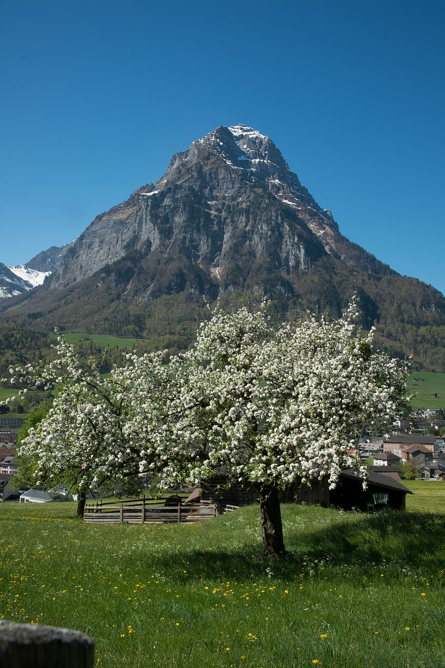 glarus, glärnisch, mountains, switzerland, front glärnisch, HD wallpaper