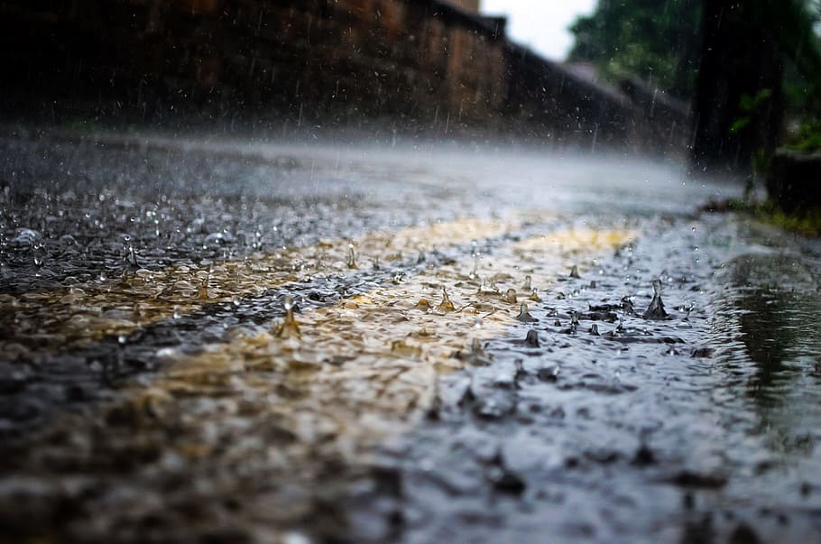 selective focus and closeup photography of rain drops on gray paved road with yellow pedestrian lane