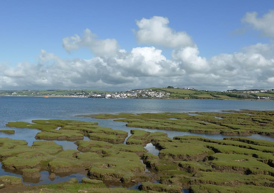 england, tide, river, landscape, water, coastal, tidal, nature HD wallpaper