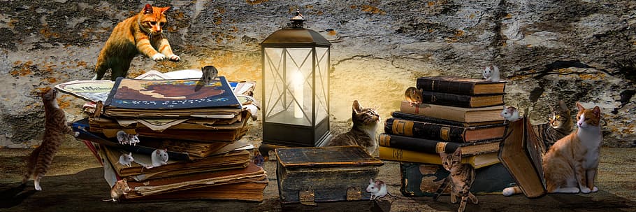 stack of books beside black lantern, animals, fantasy, composing