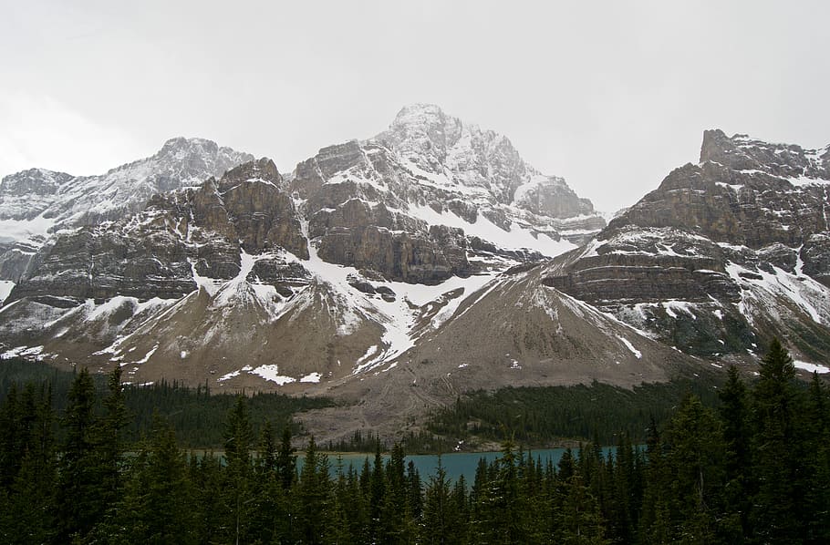 mountains covered with snow near body of water, lake near glacier mountains and trees HD wallpaper