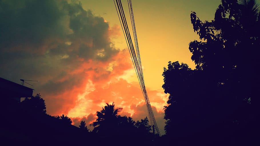 Sunset, Evening, clouds, red clouds, nature, silhouette, tree HD wallpaper