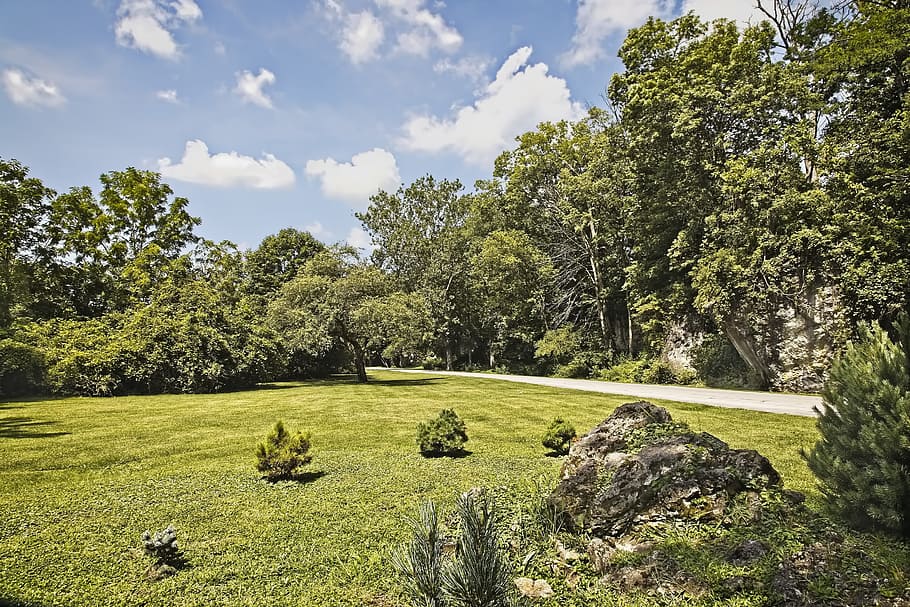 ferncliff, scenery, trees, artistic, art print, digital art HD wallpaper