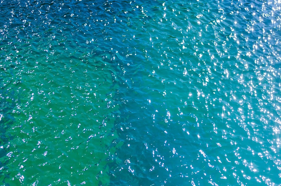 untitled, ray, fish, water, ocean, sea, nature, blue, the background HD wallpaper