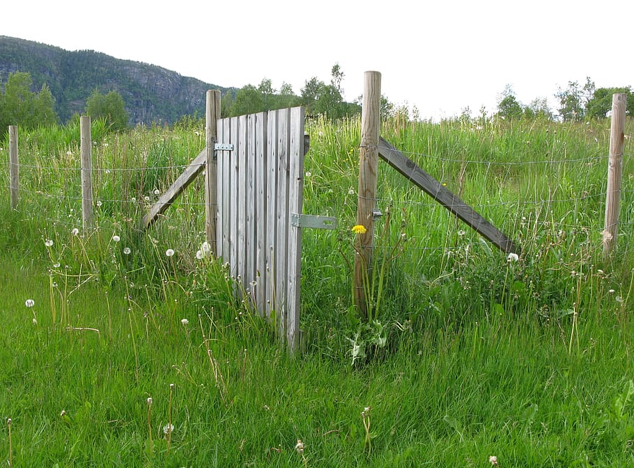 fence, wood, post, wire, demarcation, meadow, grass, green