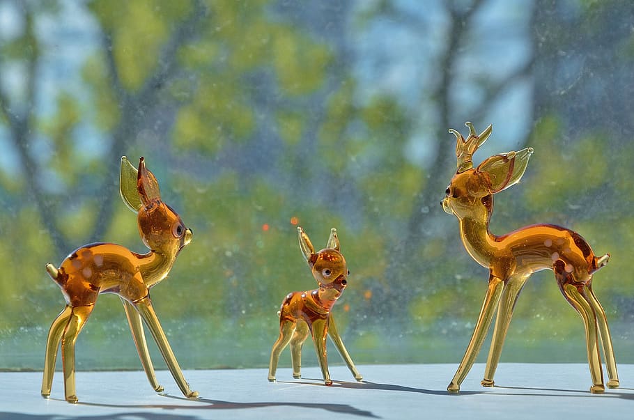 capreolus, young animals, cute, nice, curious, group of animals HD wallpaper