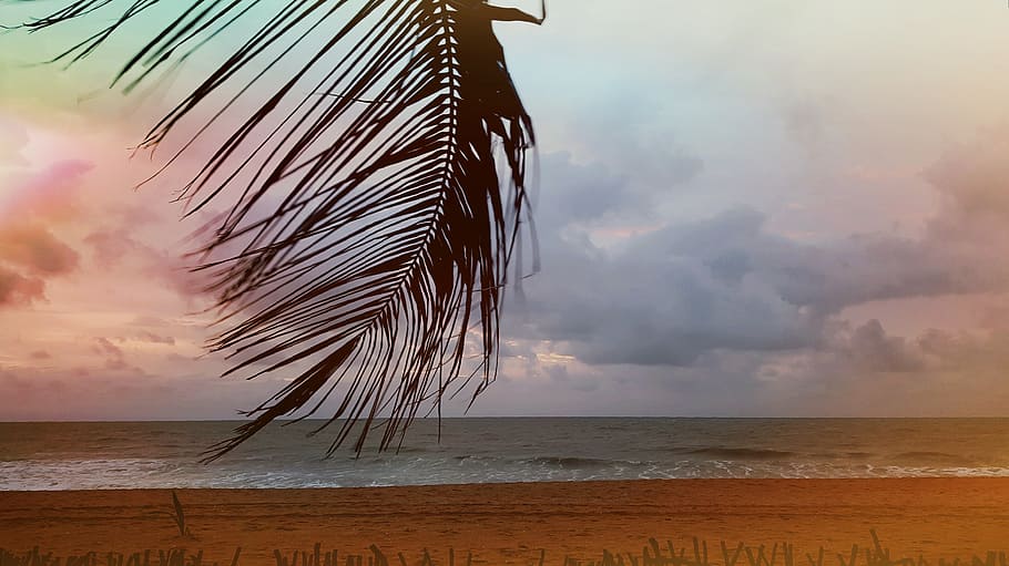 beach, palm, sea, sunset, holiday, water, sky, landscape, clouds HD wallpaper