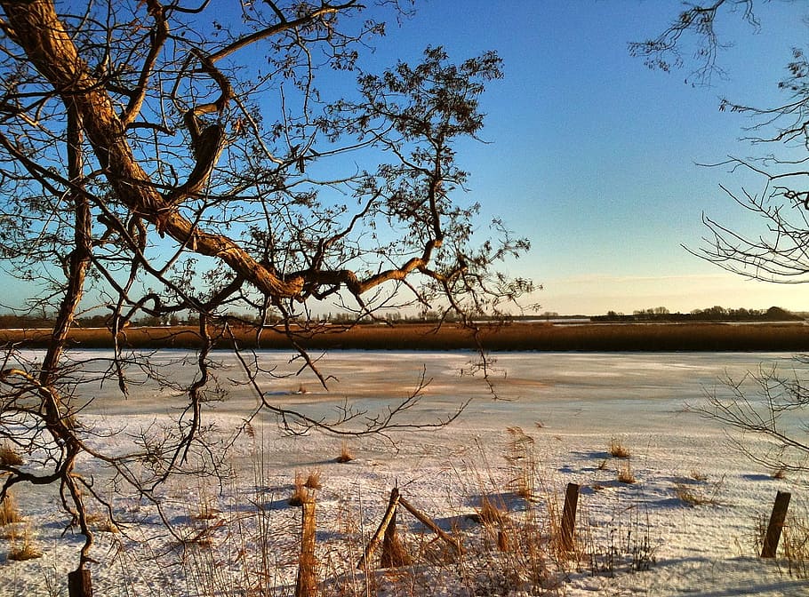 Horizon, Snow, Island, nature, tree, landscape, scenics, sky HD wallpaper