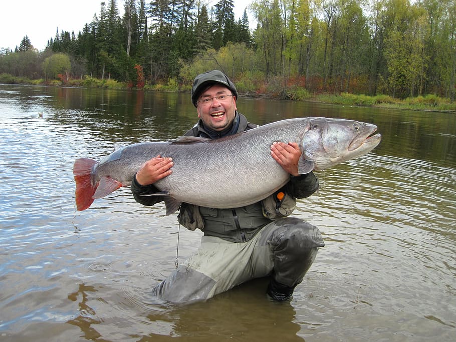 man carrying large gray fish, trout, fisherman, river, nature