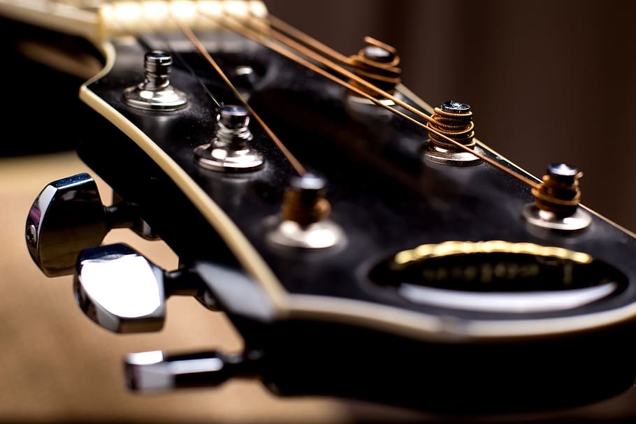 guitar, vulture, strings, large, blur, guitar neck, musical instrument HD wallpaper