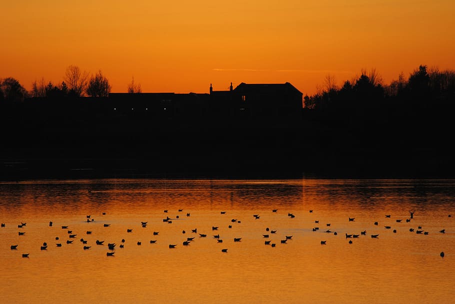 dusk, reflection, sunset, silhouette, building, twilight, lake HD wallpaper