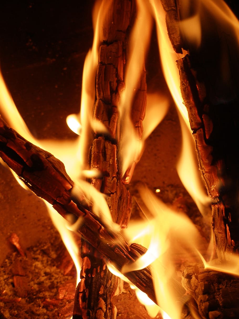 campfire, burn, flame, burning, fire - natural phenomenon, log HD wallpaper