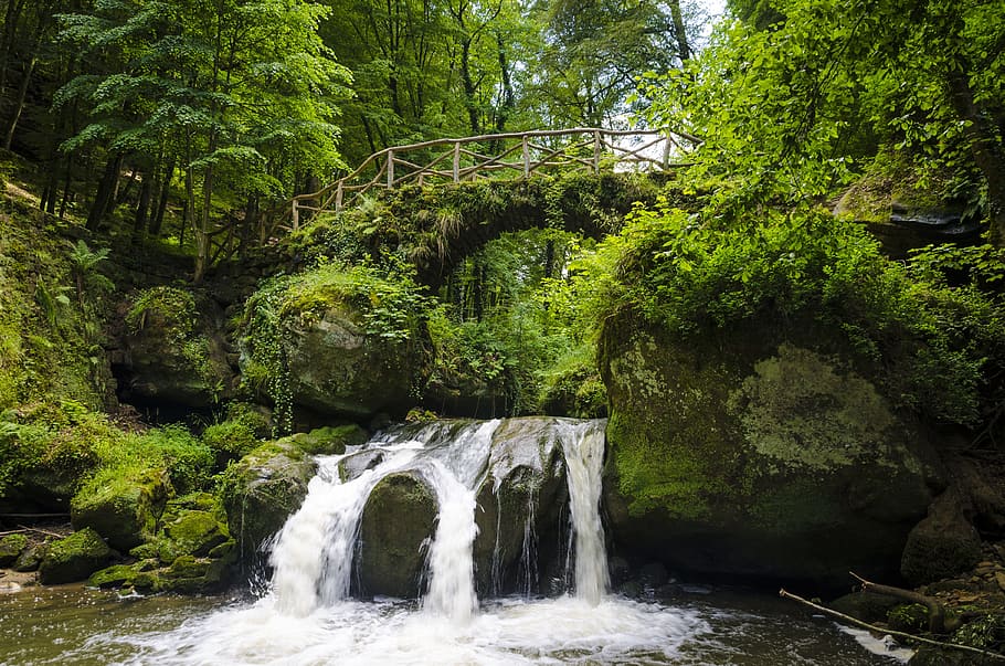 Fall, Water, Waterfall, forest, tree, nature, scenics, no people HD wallpaper