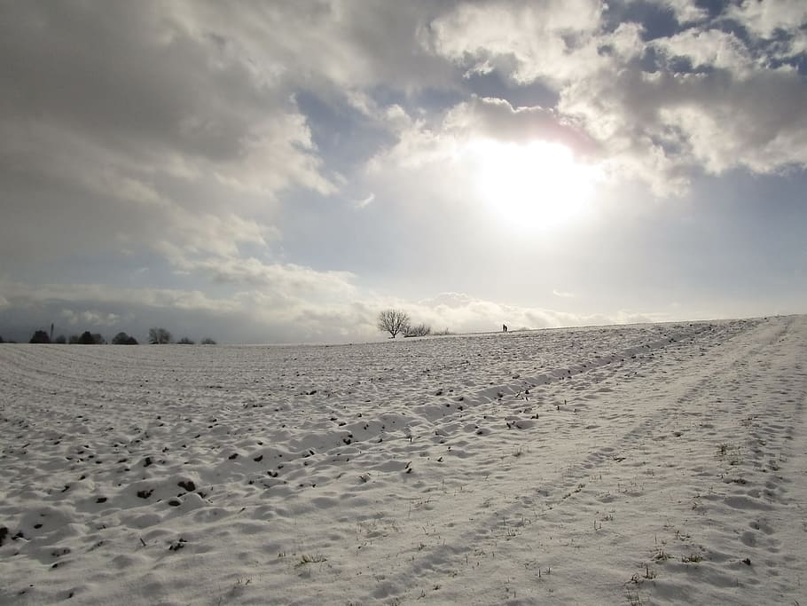 Winter'S, Day, Snow Cover, Sky, winter's day, winter sun, wintry HD wallpaper