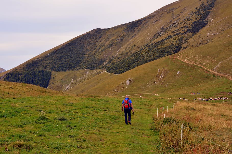 hiking, trail, walk, mountain, backpack, trekking, leisure activity HD wallpaper