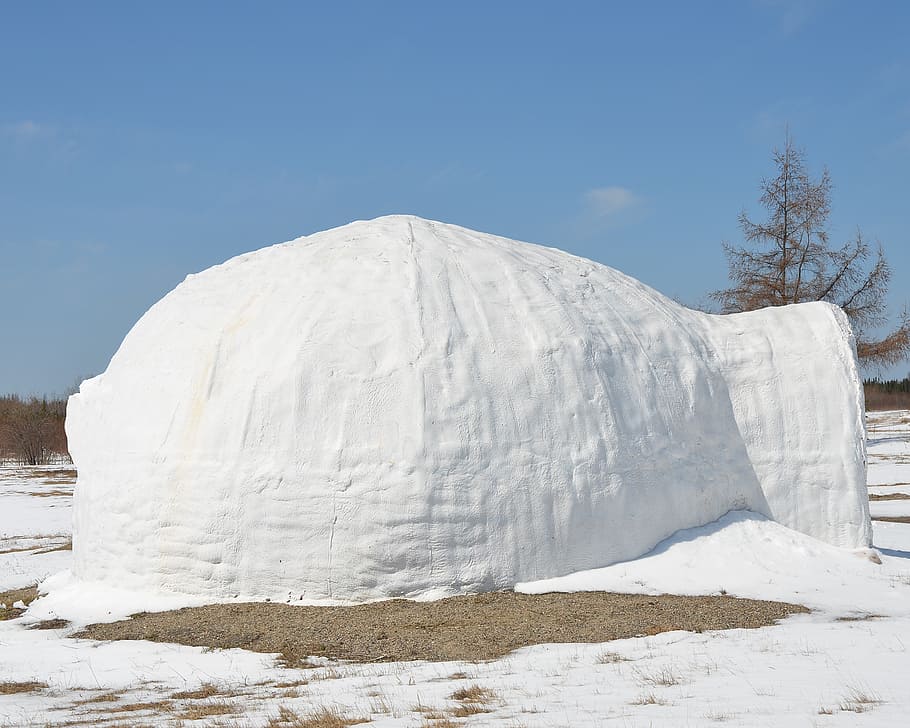 white egloo near tree, igloo, snow, house, landscape, ice, north HD wallpaper