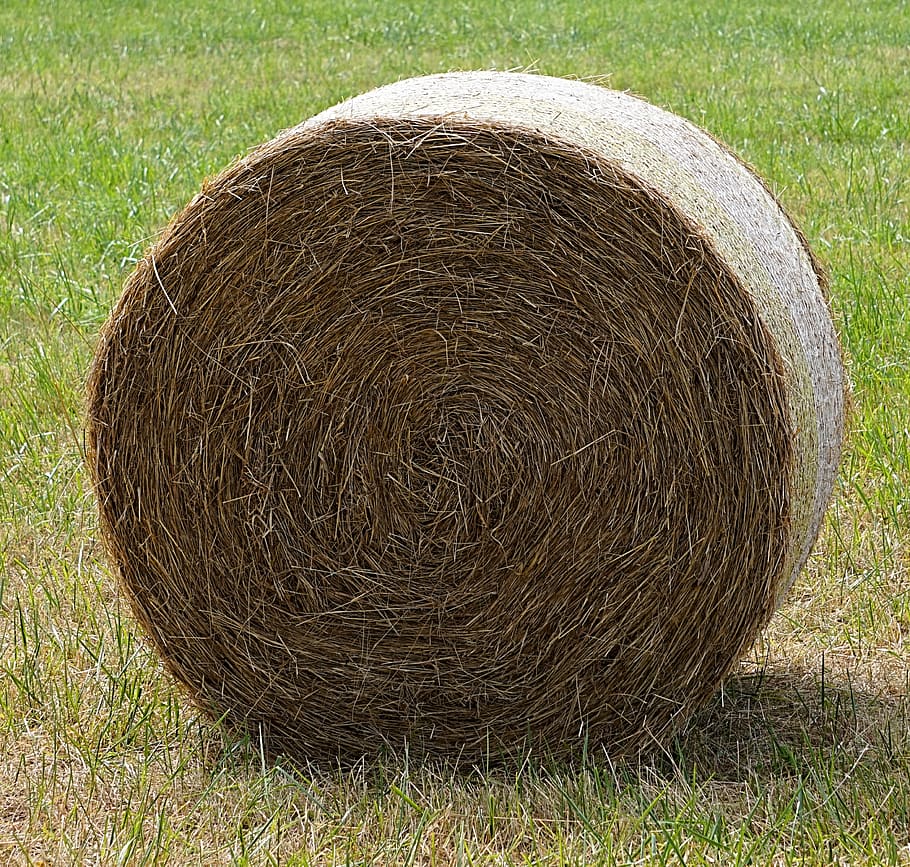 hay, straw, hay bales, cereals, agriculture, straw bales, meadow, HD wallpaper