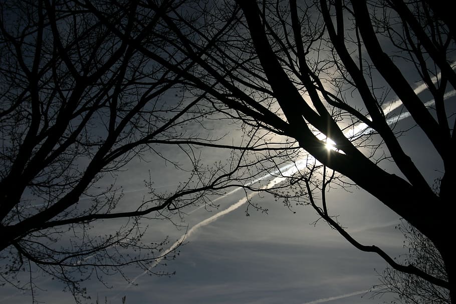 Air, Sun, Clouds, Nature, Tree, landscape, heaven, trees, view HD wallpaper