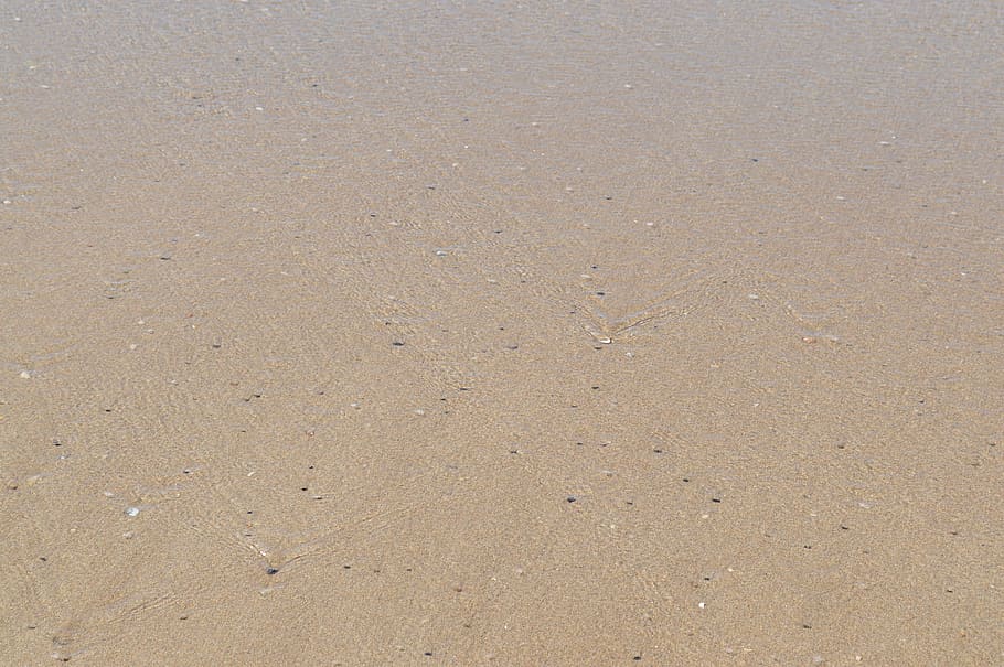 sand, beach, sandy beach, pebbles, land, full frame, backgrounds HD wallpaper