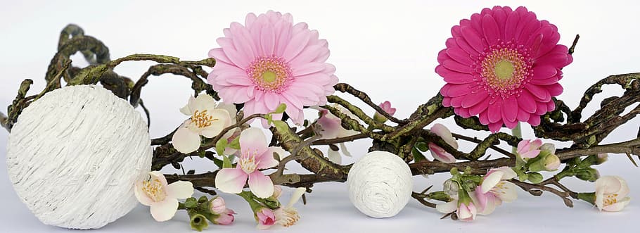 pink and white petal flower arrangement, gerbera, flowers, spring decoration, HD wallpaper