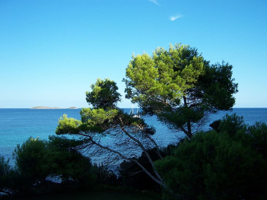 outlook, sea, tree, water, plant, sky, tranquil scene, tranquility HD wallpaper