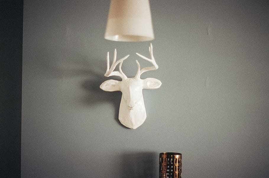 paper deer head decor hanged on wall, white, taxidermy, reindeer HD wallpaper