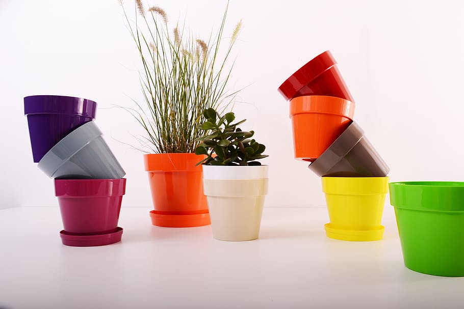 assorted-color flowerpots lot on white surface, plants, plastic, HD wallpaper