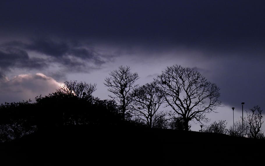 Landscape, Sunset, Popayan, Trees, silhouette, night, dark HD wallpaper
