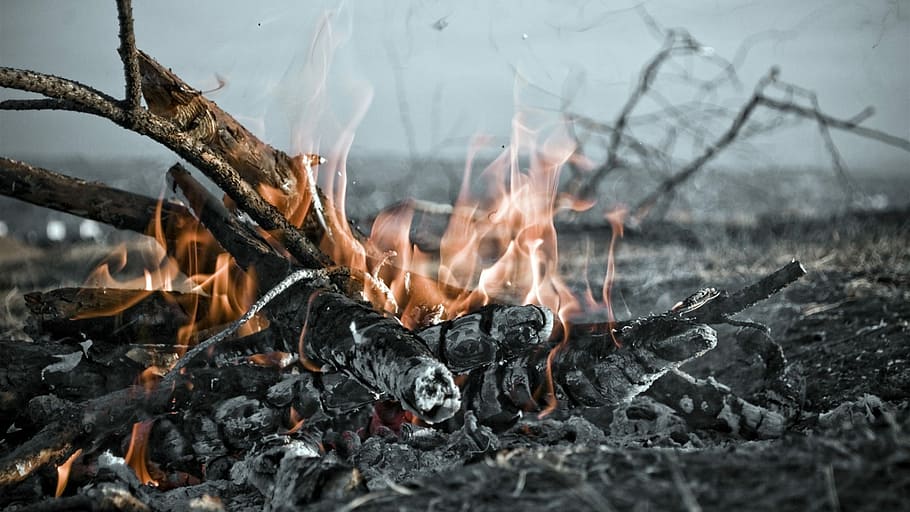 Fire, Koster, Flame, burning, heat - temperature, destruction HD wallpaper