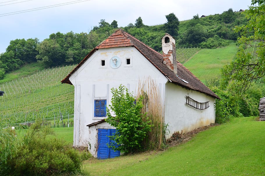 Building, Vineyard, Cellar, Landscape, old, hut, fields, green HD wallpaper