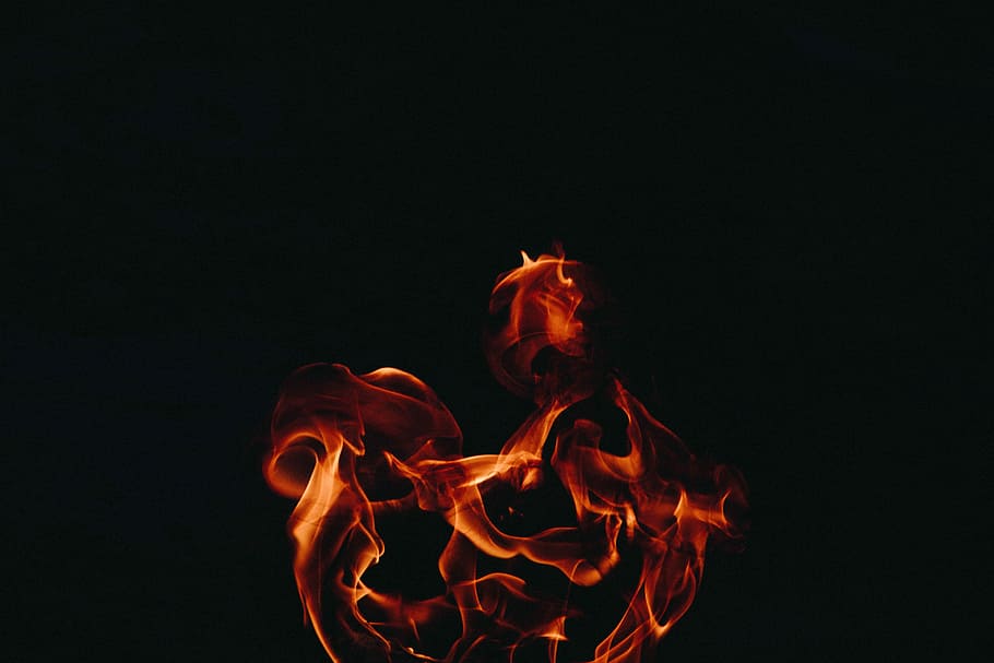 photo of fire during dark, red fire, flame, night, burning, rooster HD wallpaper