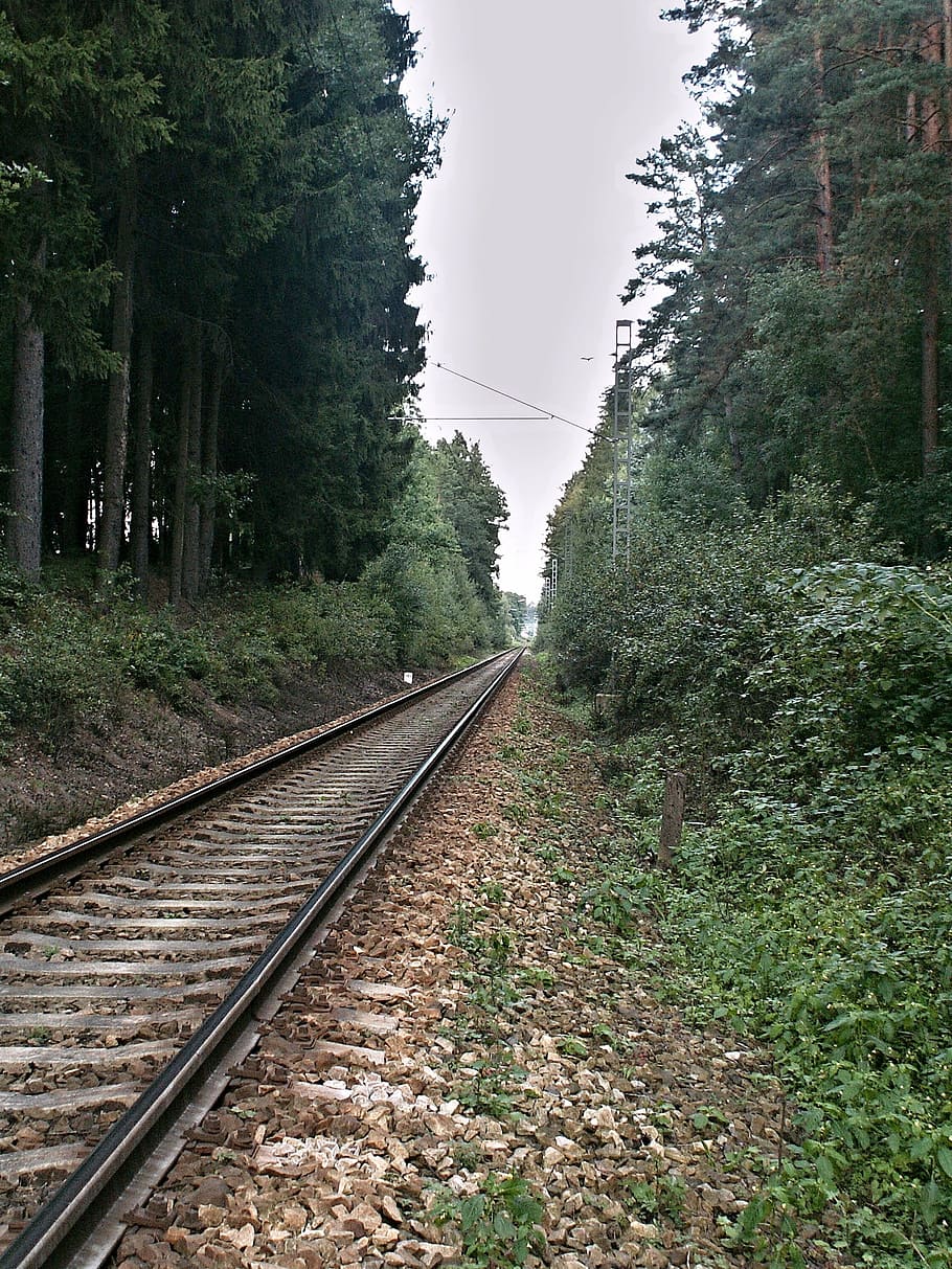 track, forest, vista, ties, rail transportation, railroad track HD wallpaper