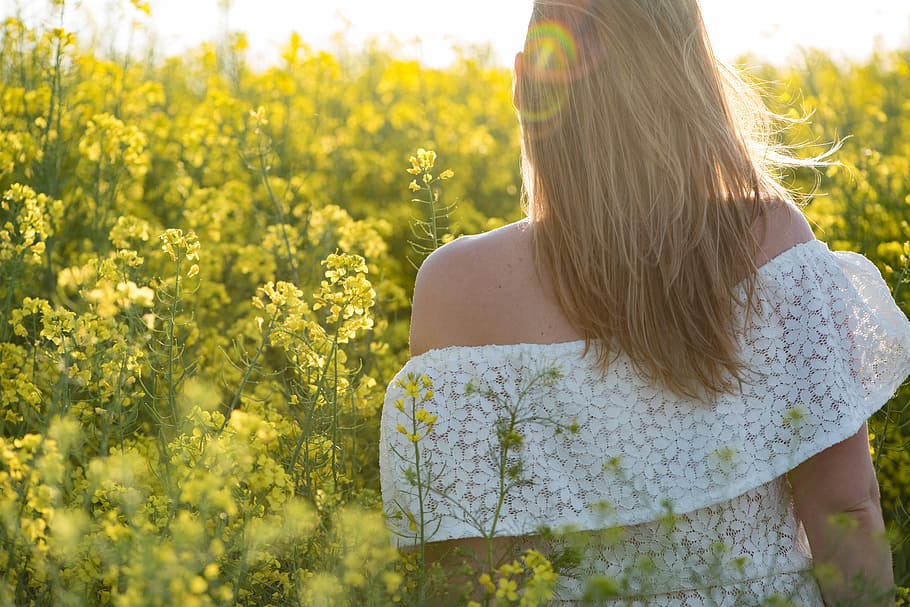 woman walking on bed of yellow petaled flowers, rape, summer HD wallpaper
