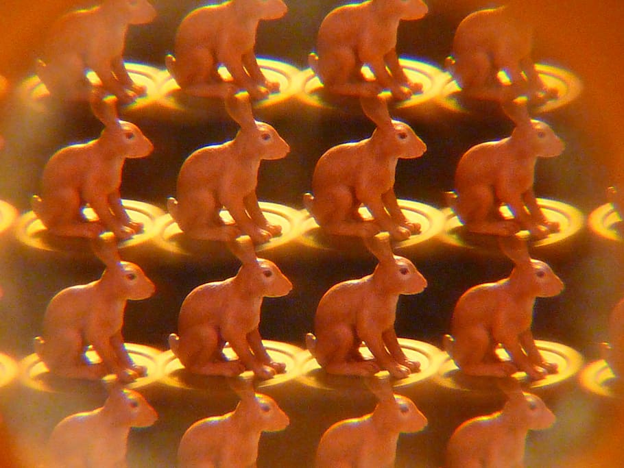 Hare, Kaleidoscope, Art, food and drink, no people, unhealthy eating HD wallpaper