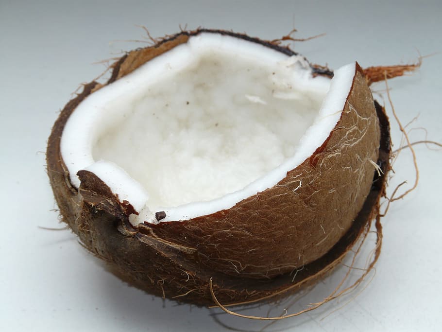 cracked coconut shell with meat, coconuts, exotic, sweet, palm HD wallpaper
