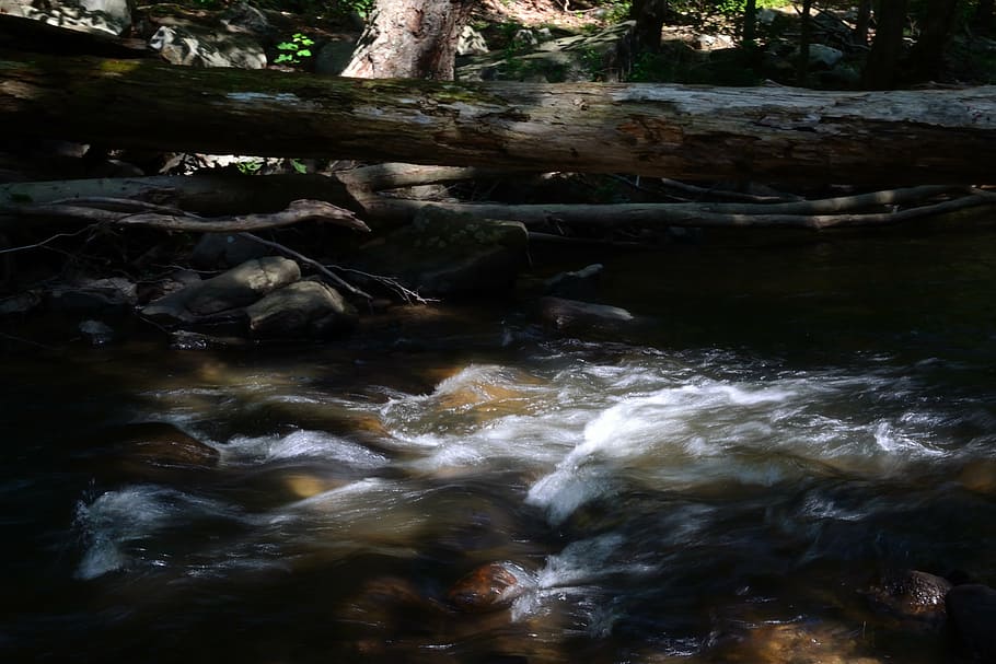 river, stream, nature, log, woods, water, flowing, spring, cascade HD wallpaper