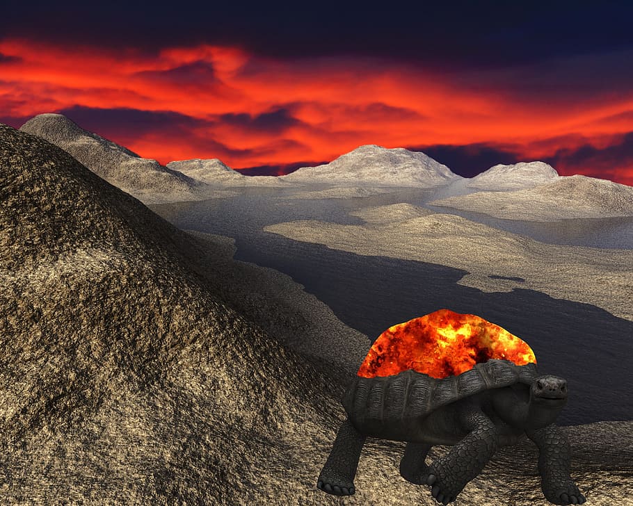 alien, turtle, landscape, science fiction, sci-fi, monster HD wallpaper