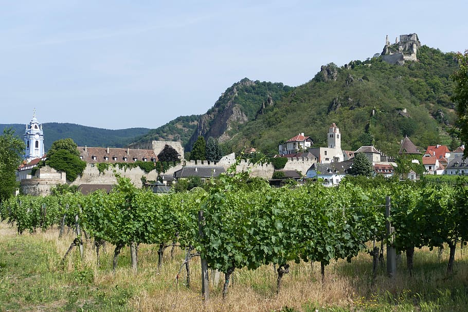 Dürnstein, Wachau, Danube, Ruin, landscape, burgruine, danube region, HD wallpaper