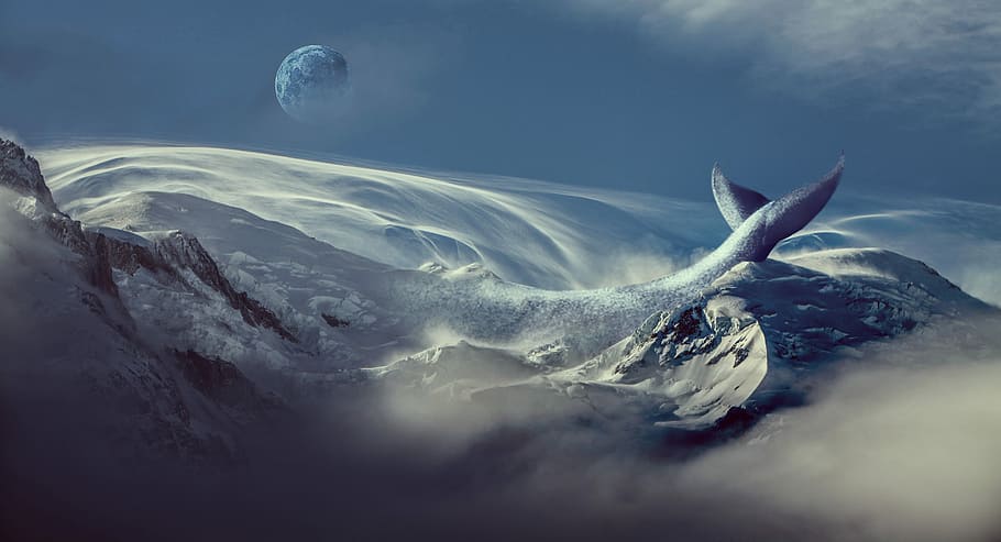 gray whale digital wallpaper, nature, ocean, sea, water, panoramic