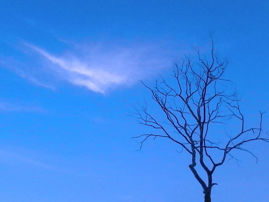 Negative Space, Sky, Blue, Clouds, cumulus, sky blue, cumulus day HD wallpaper
